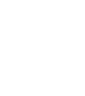 Skills PTE Logo